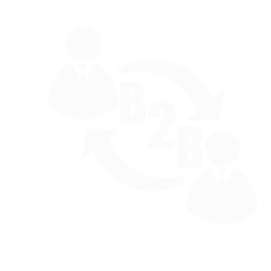 B2B Sistemleri